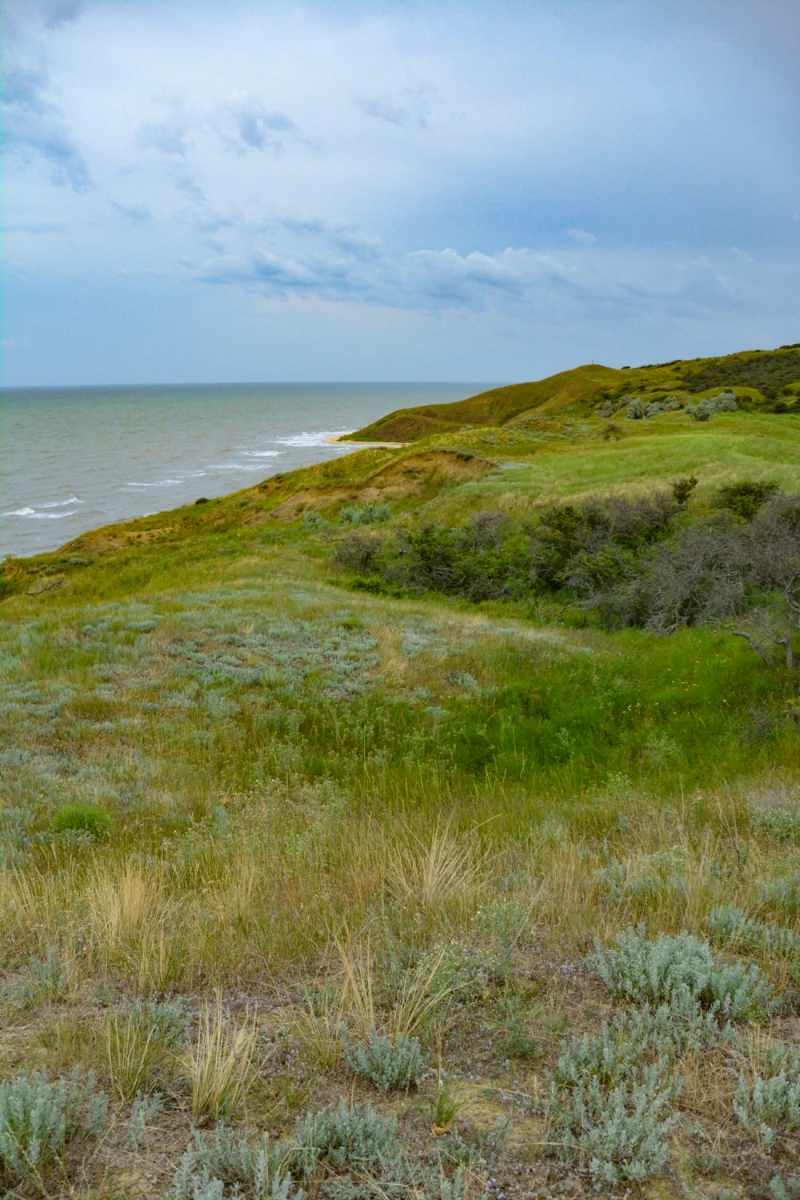 Таманская швейцария