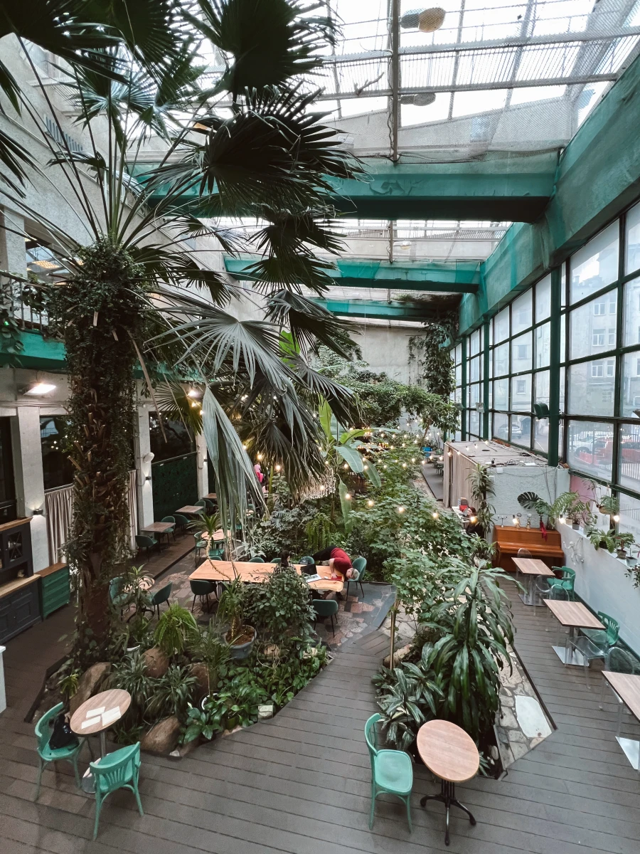 The Choco Secret Garden