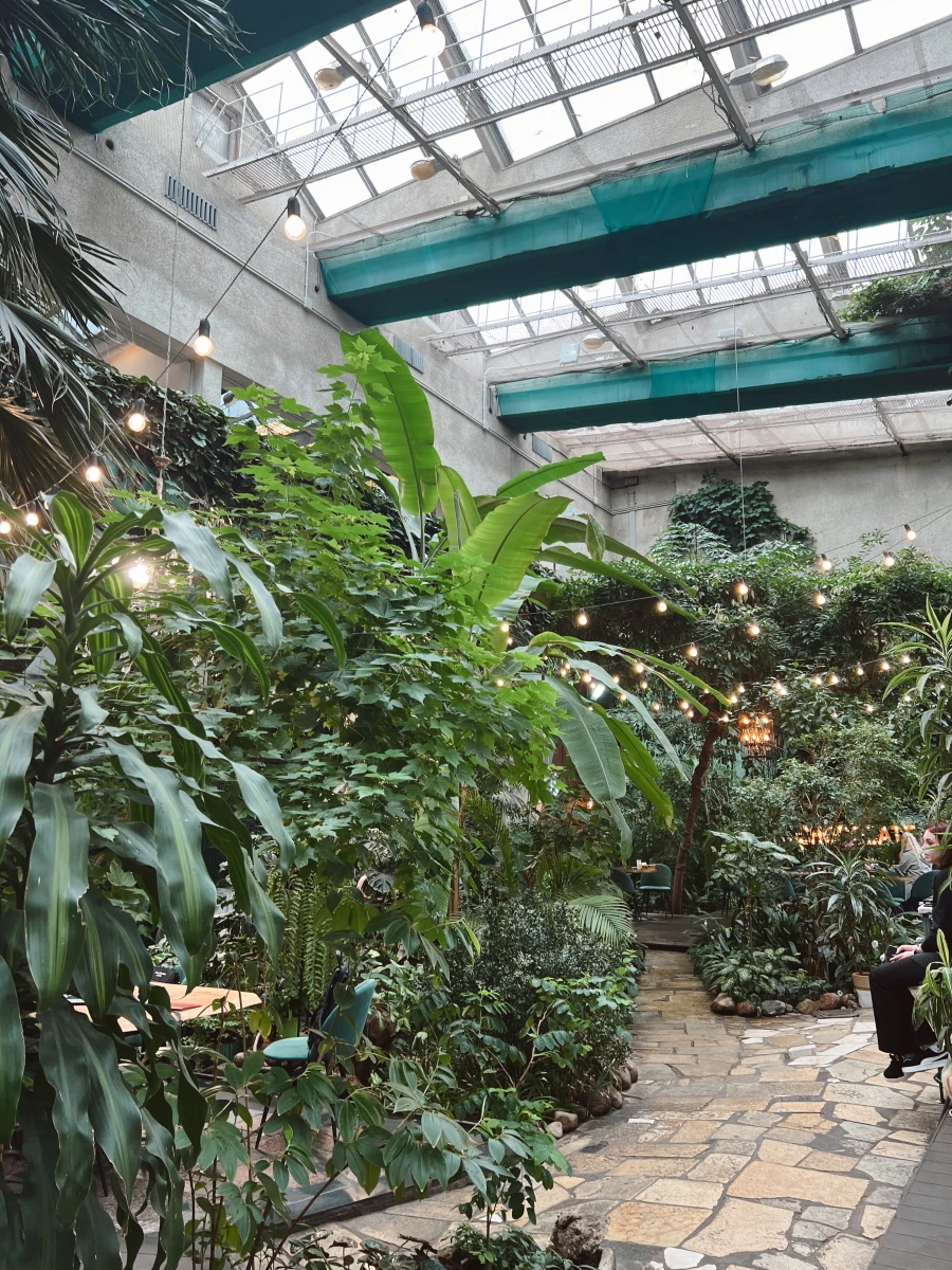 The Choco Secret Garden