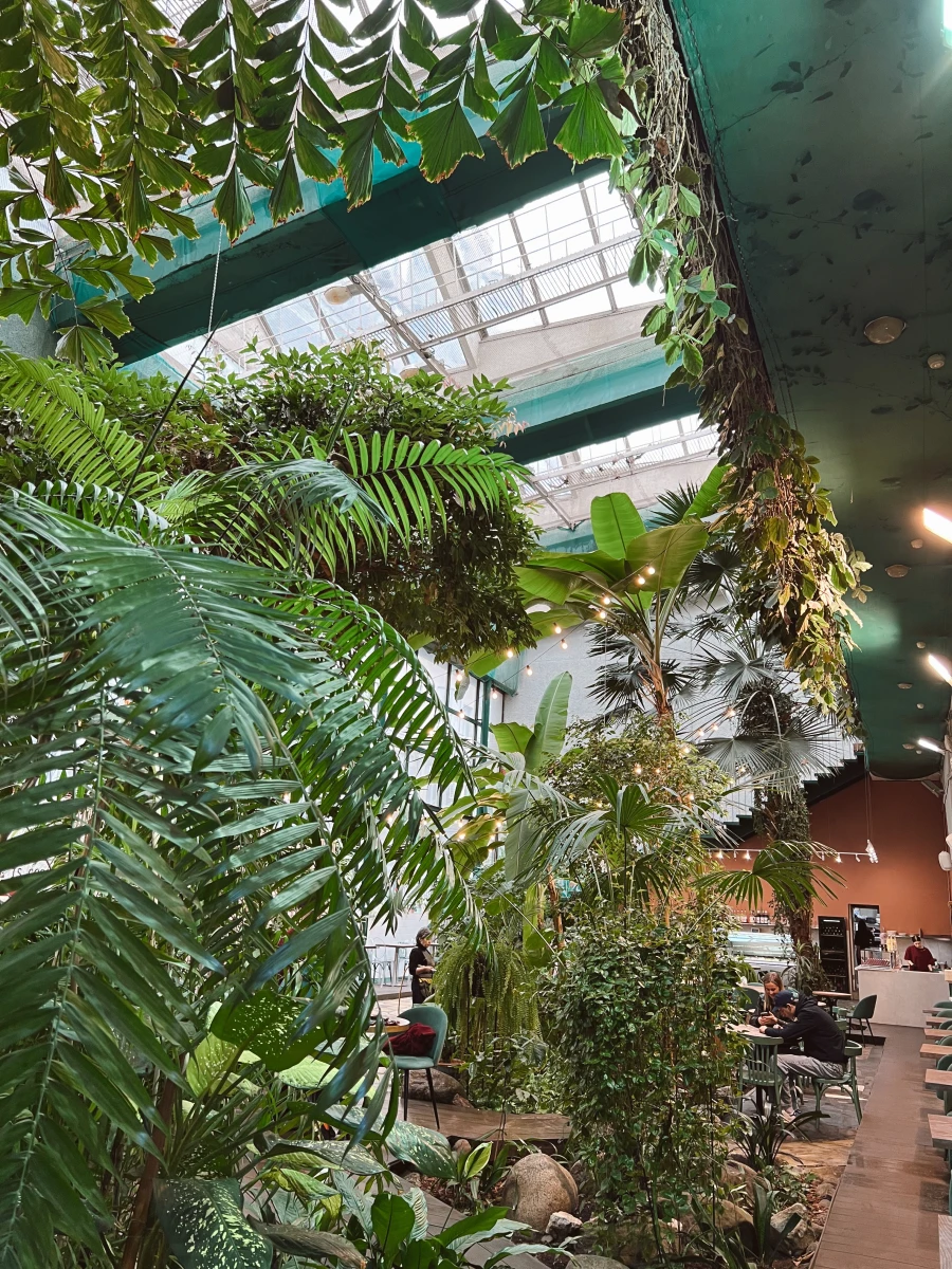 The Choco Secret Garden