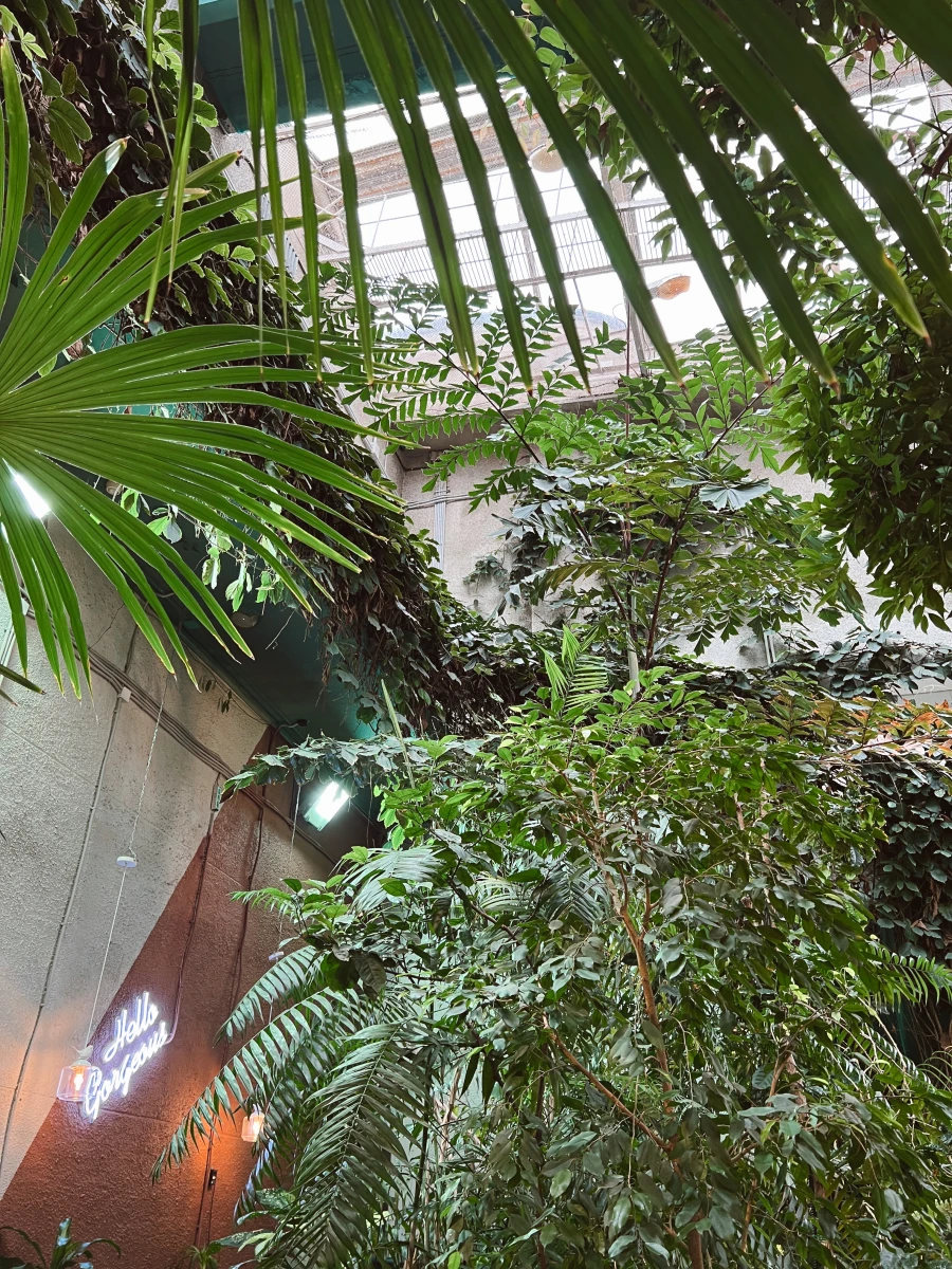 The Choco Secret Garden