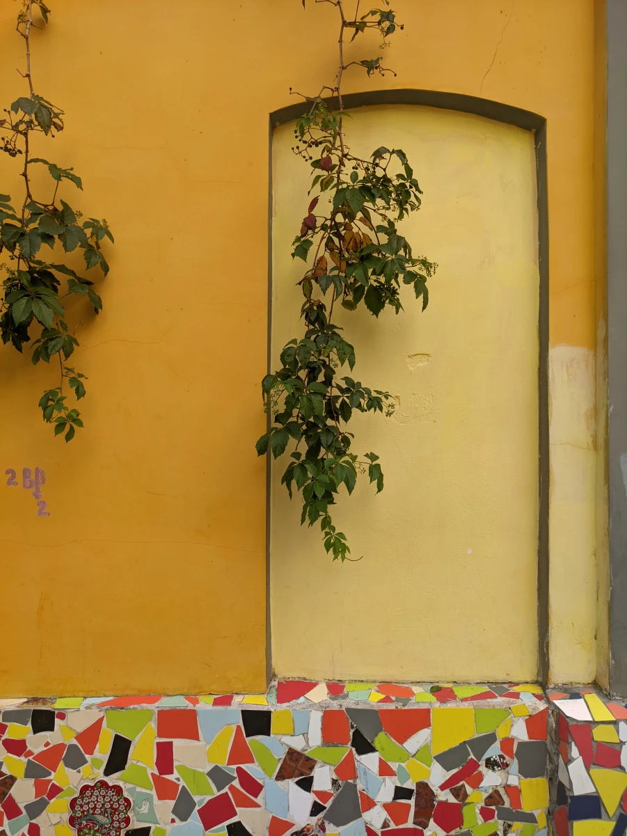 Хачапури и вино на Трубной