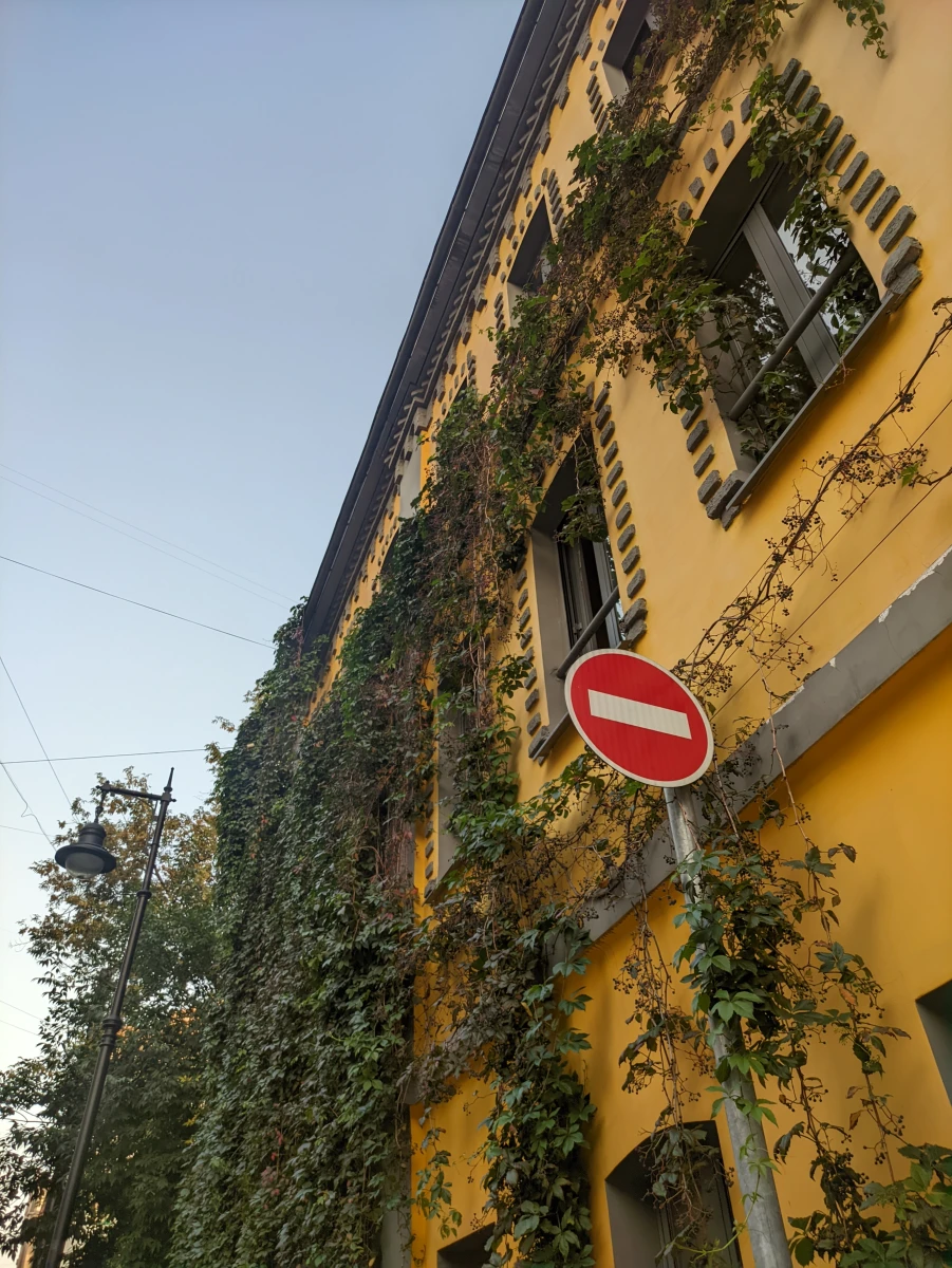 Хачапури и вино на Трубной