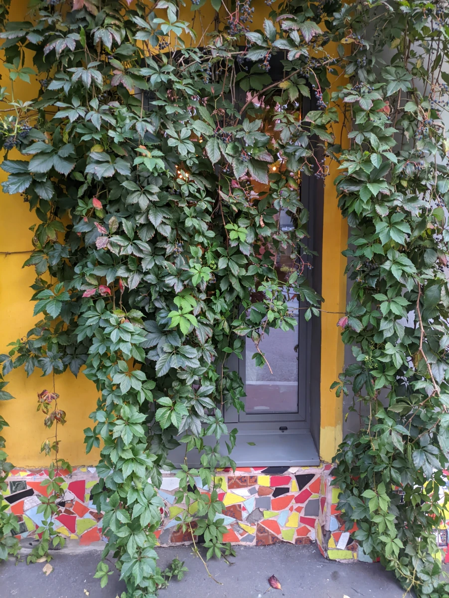 Хачапури и вино на Трубной