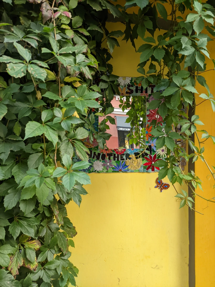 Хачапури и вино на Трубной