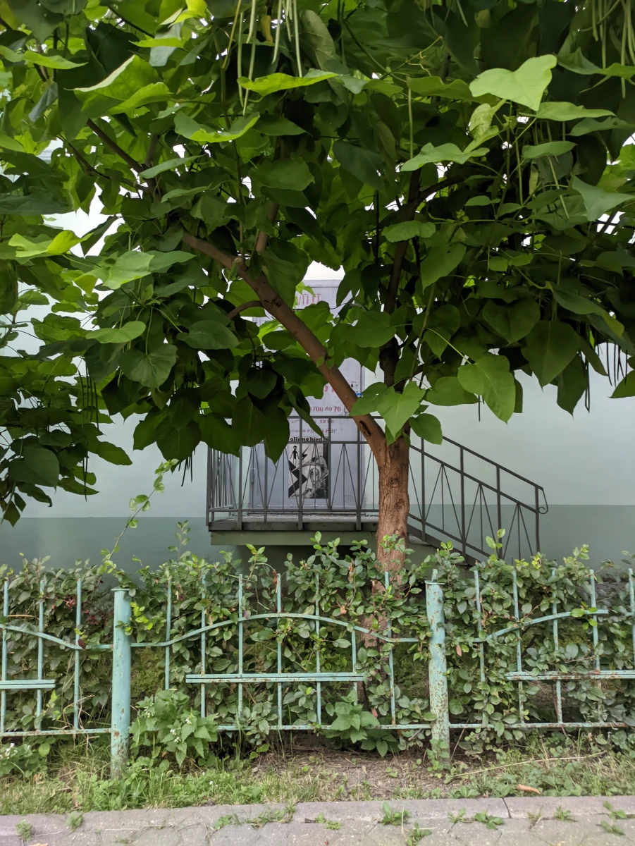 Романтичный дворик с розовыми домами