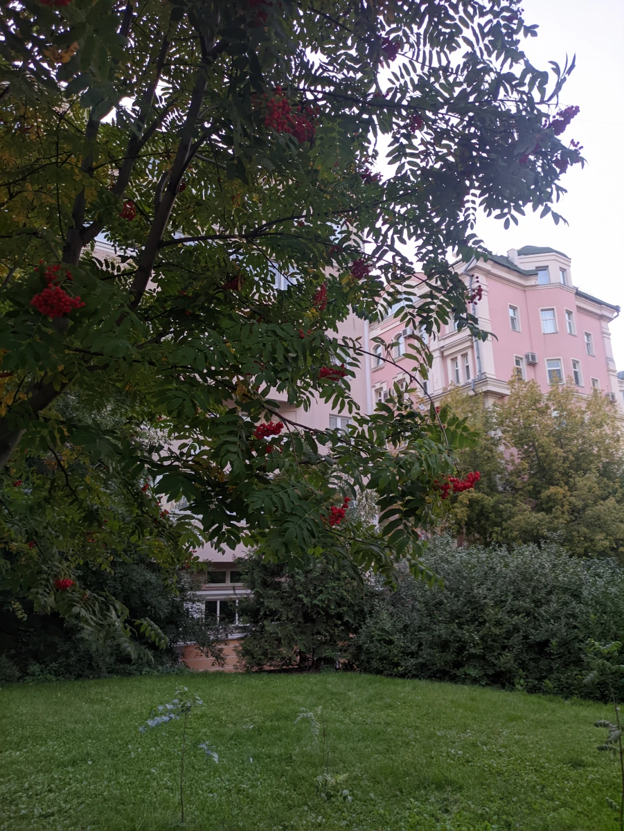 Романтичный дворик с розовыми домами