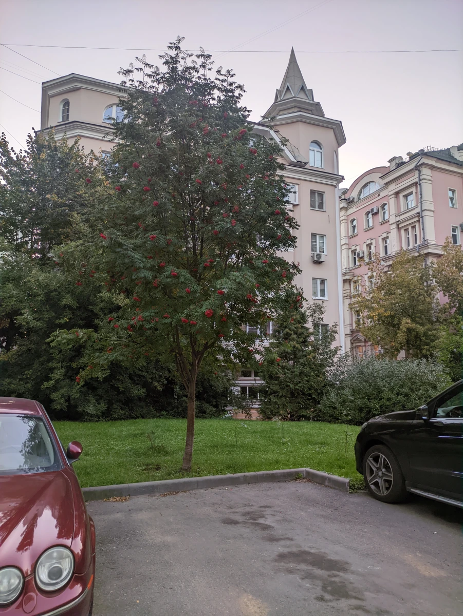 Романтичный дворик с розовыми домами