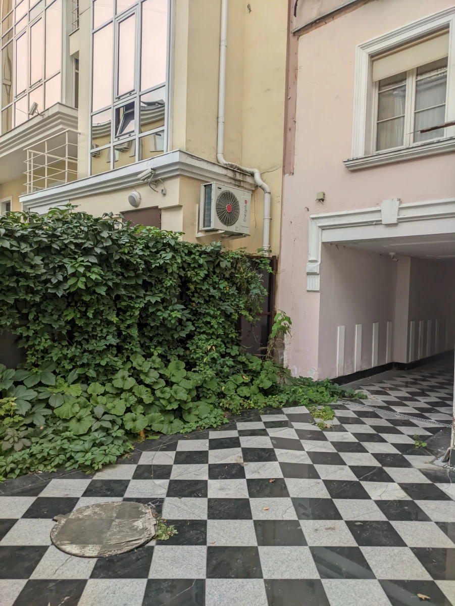 Двор из Алисы в стране чудес