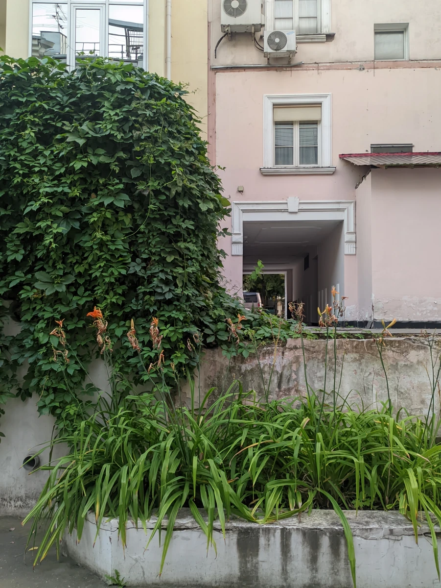 Двор из Алисы в стране чудес