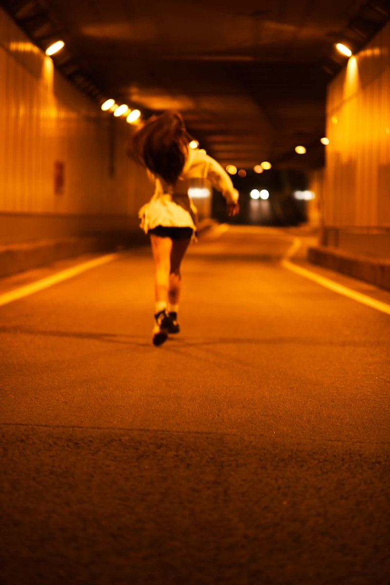 Ответвление Гагаринского тоннеля