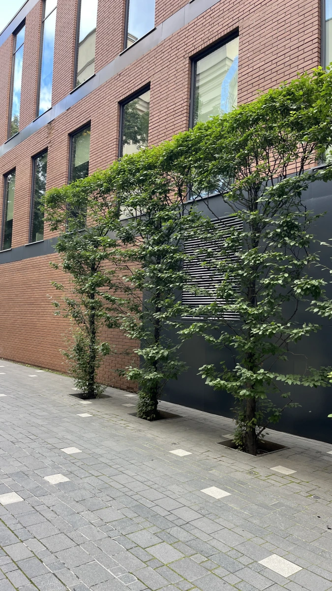 Бц Большевик Лофт