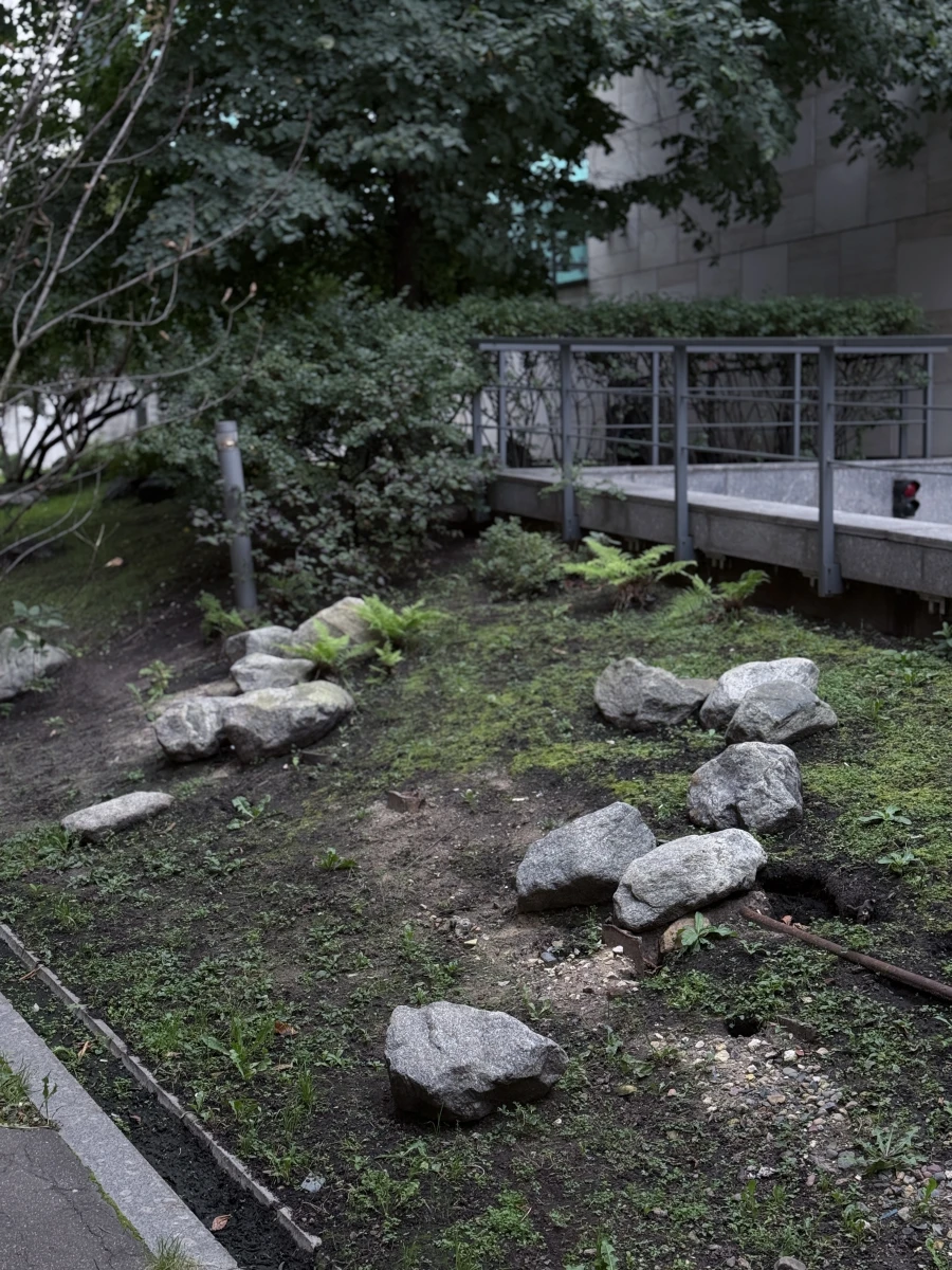 ЖК Новая Остоженка