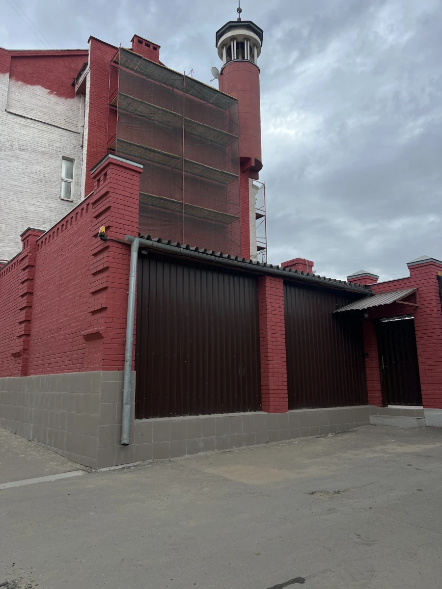 Зеленая стена