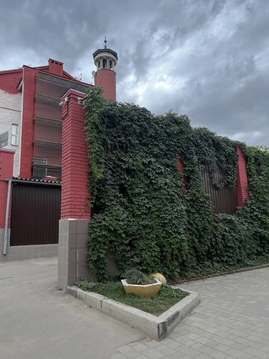 Зеленая стена