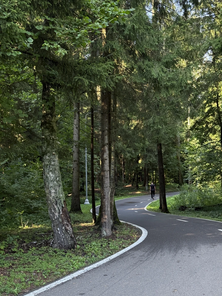 Парк Лазутиной