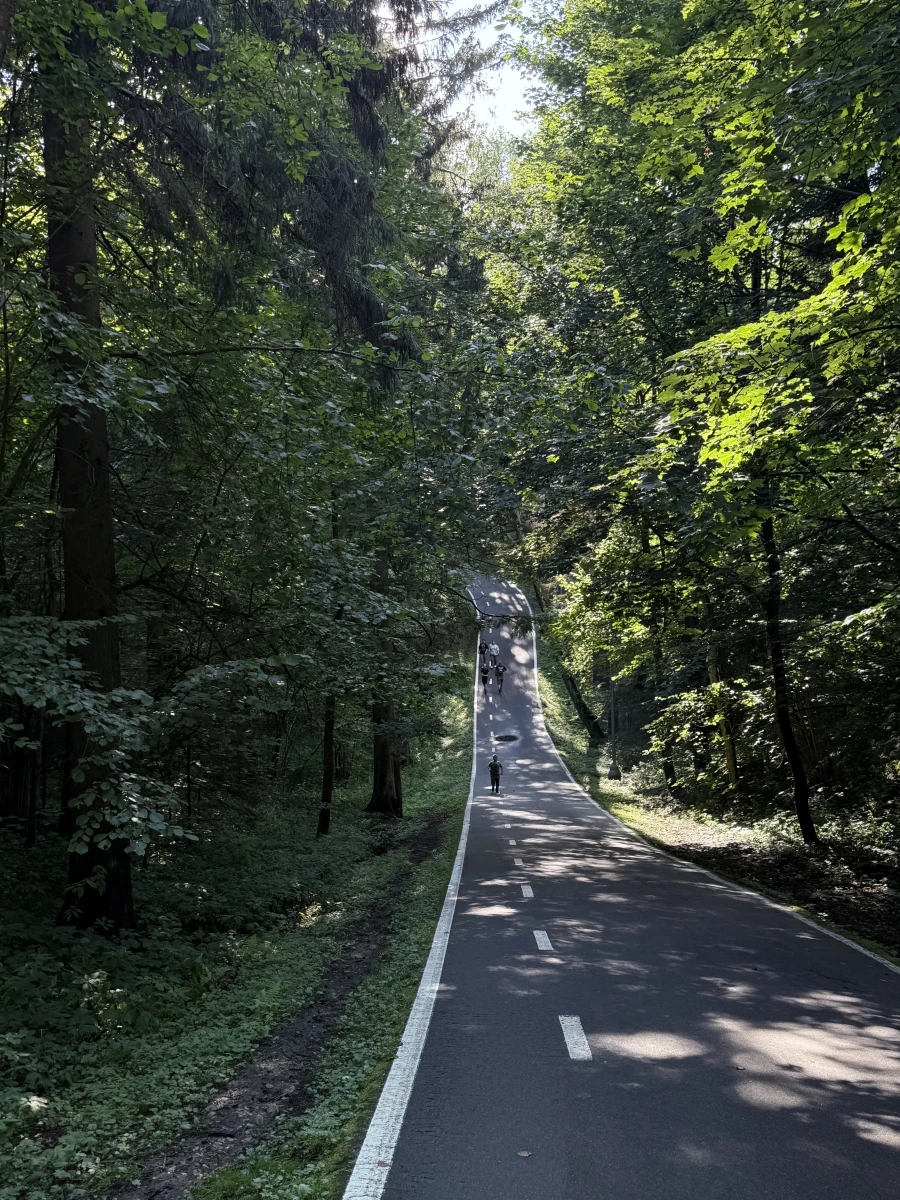 Парк Лазутиной