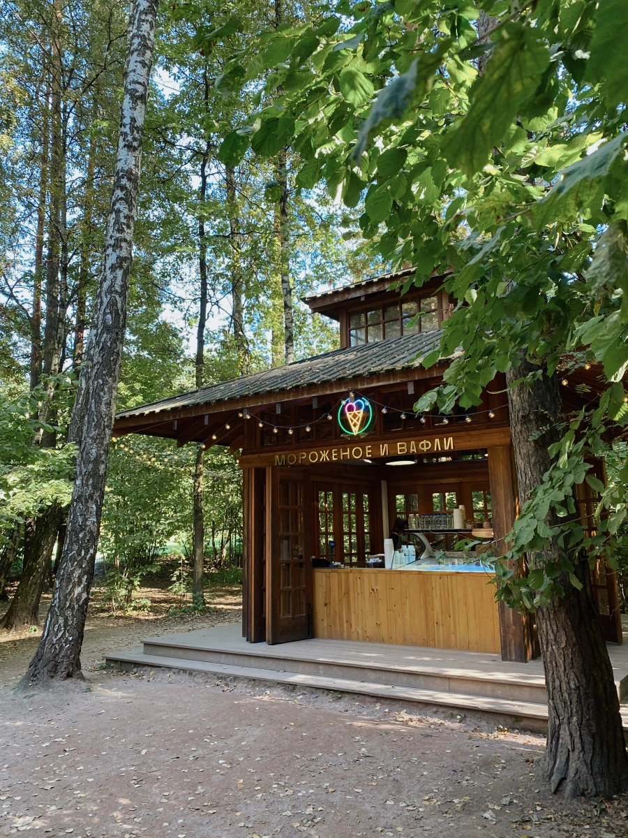 Лесная чайная