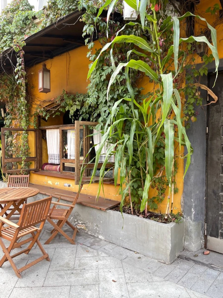 Кафе Москва Дели