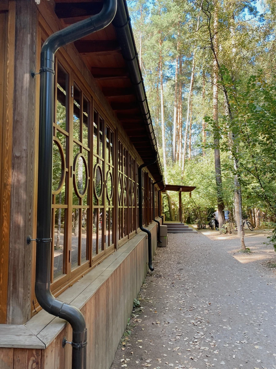 Лесная чайная