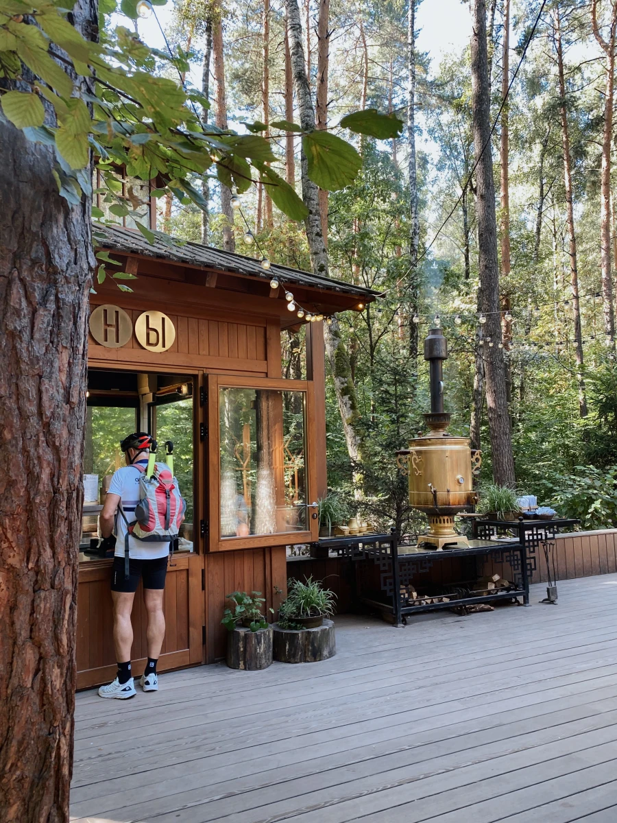 Лесная чайная