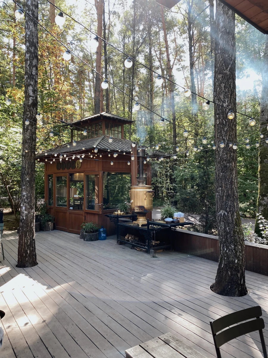 Лесная чайная