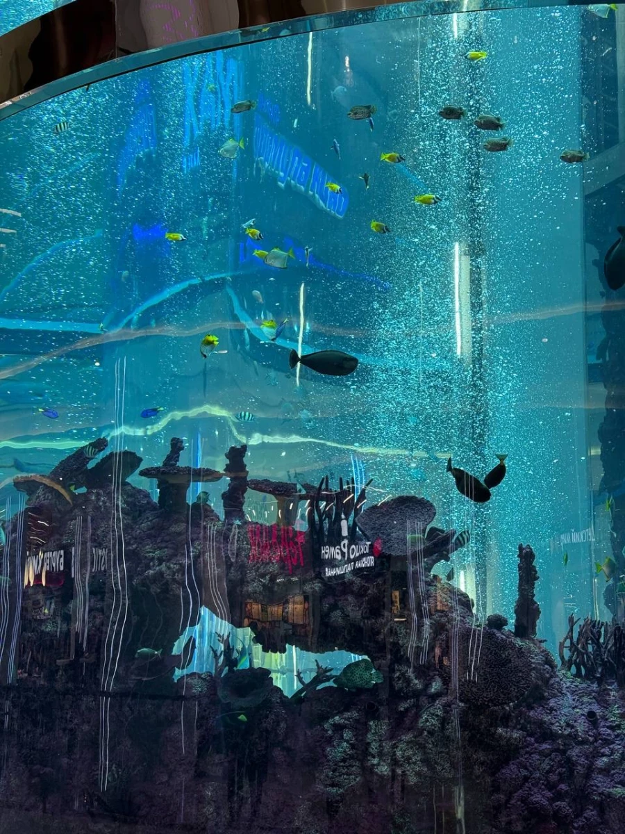 Панорамный лифт в аквариуме