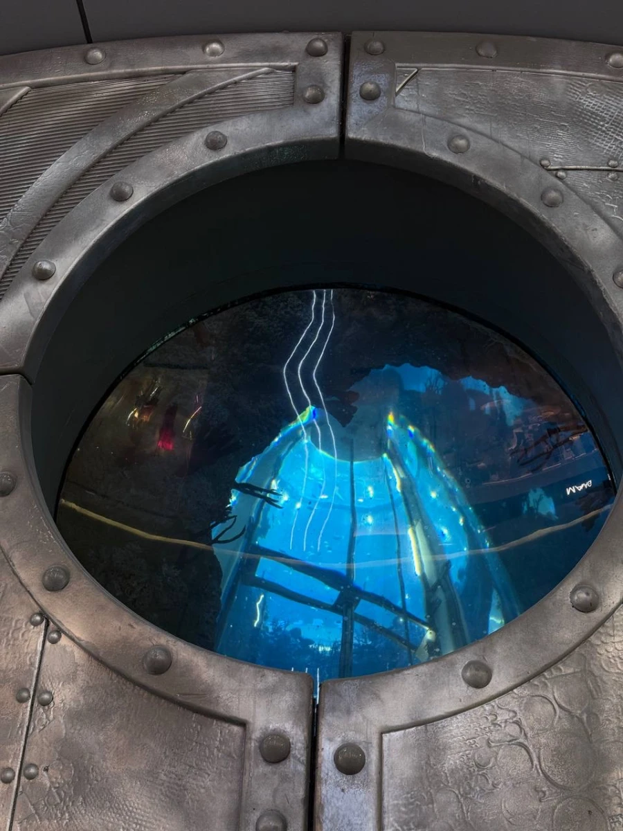 Панорамный лифт в аквариуме