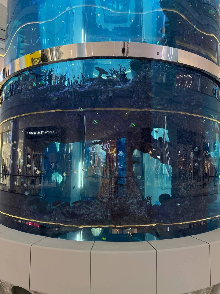 Панорамный лифт в аквариуме