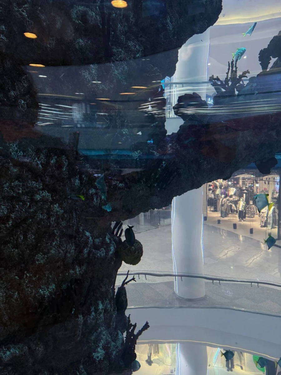 Панорамный лифт в аквариуме