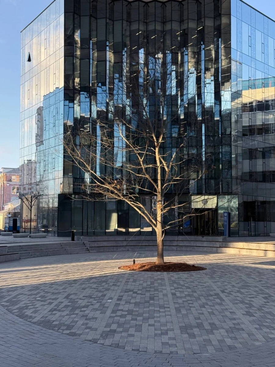 МГТУ им. Баумана