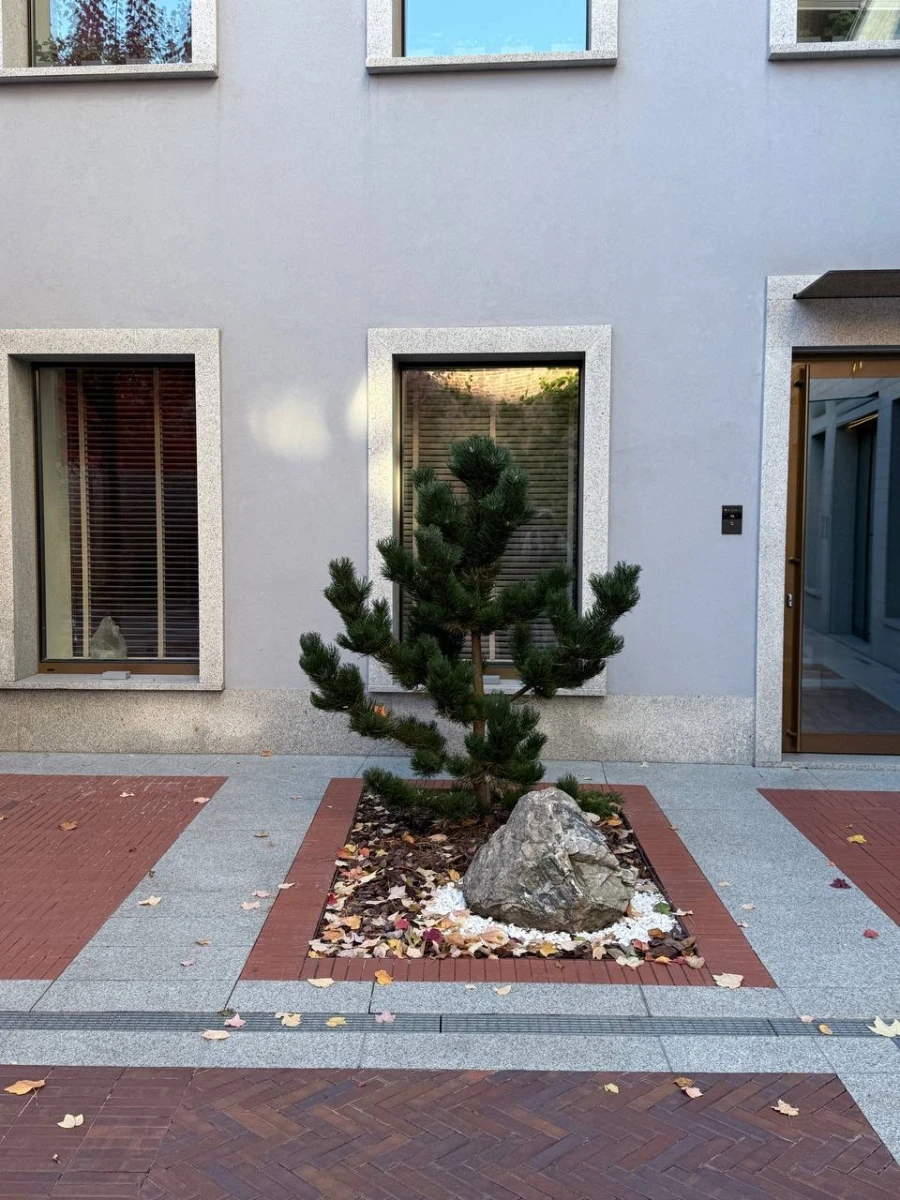 Двор ресторана Share