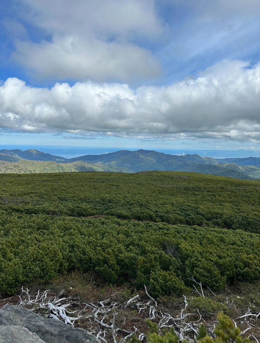 Гора Быкова