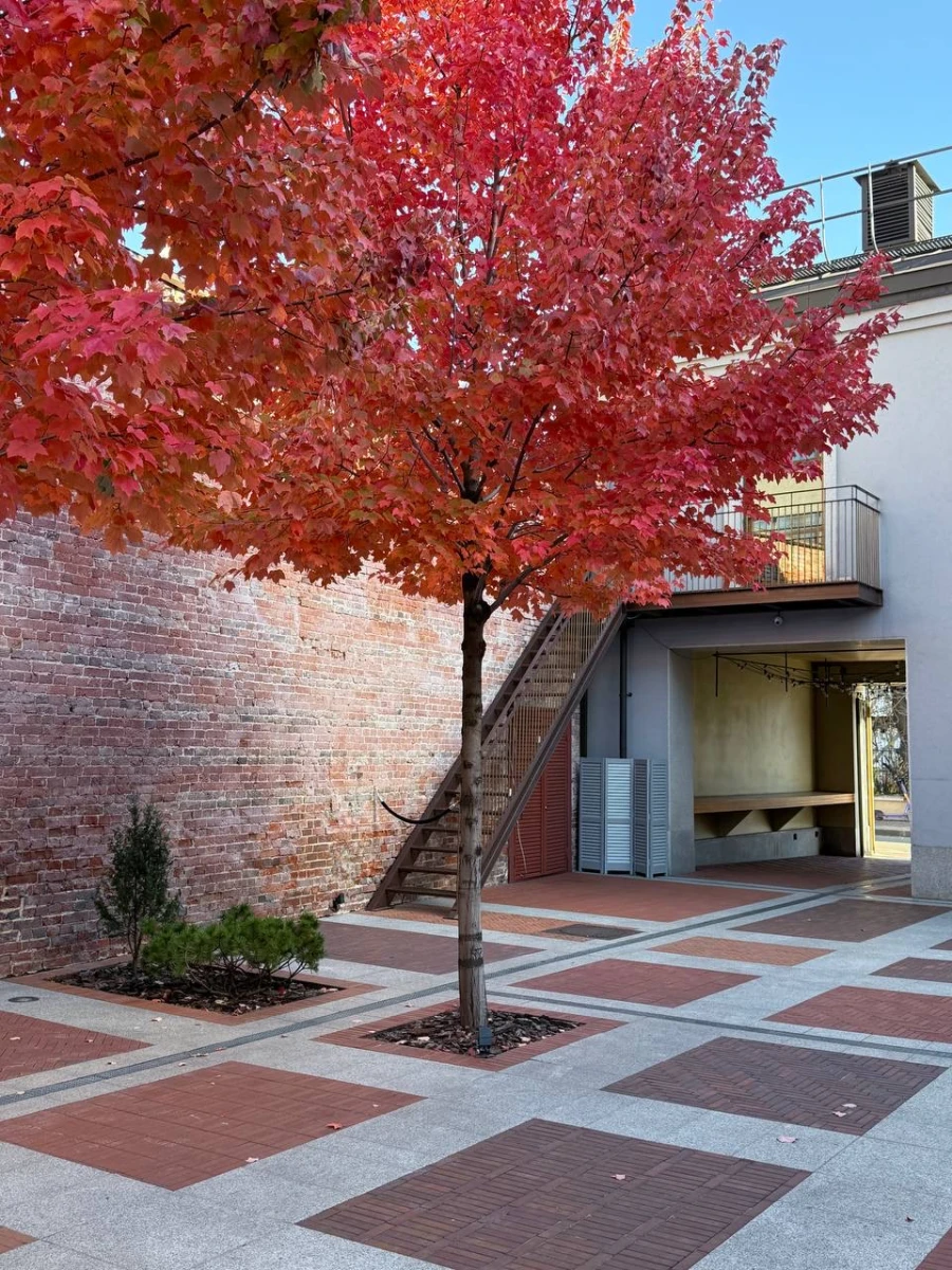 Двор ресторана Share