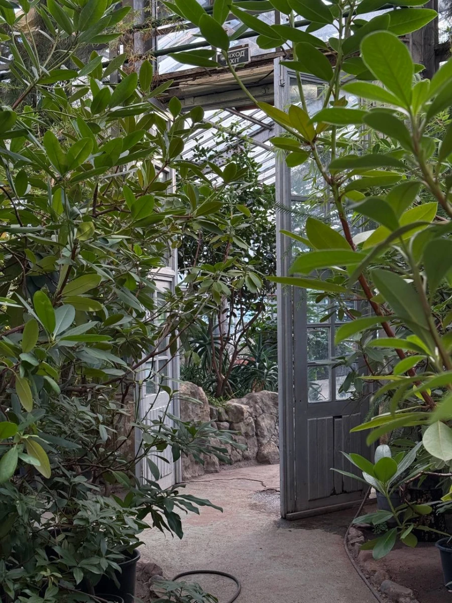 Старая фондовая оранжерея