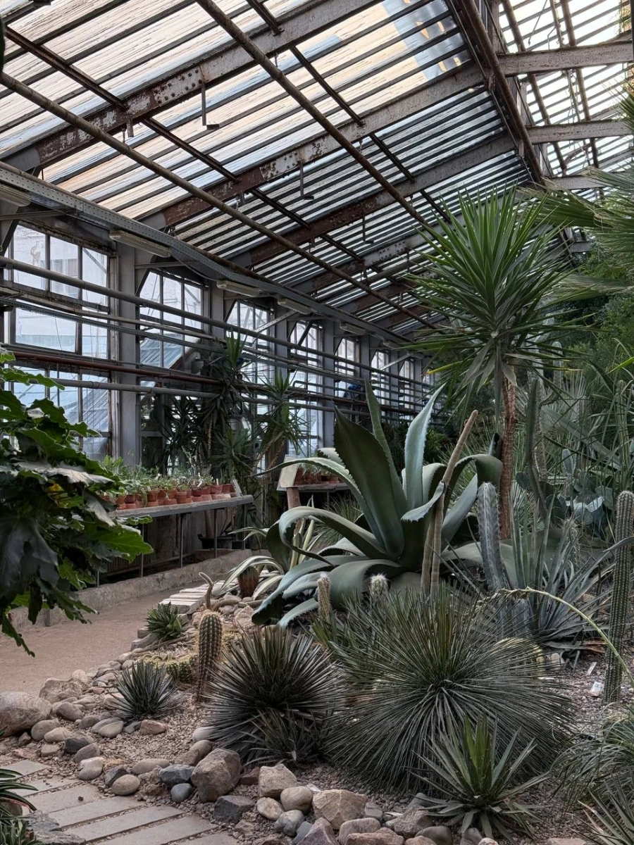 Старая фондовая оранжерея