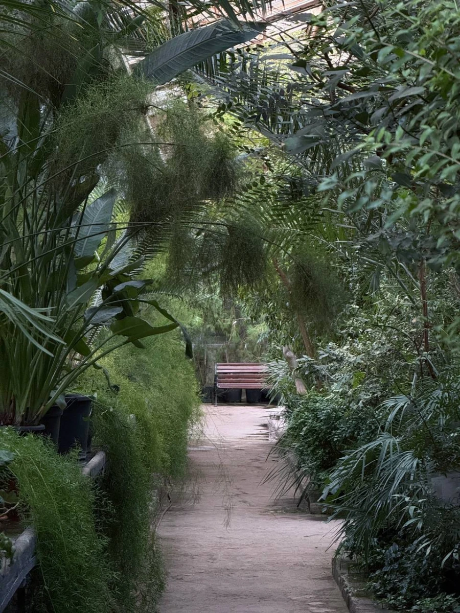 Старая фондовая оранжерея