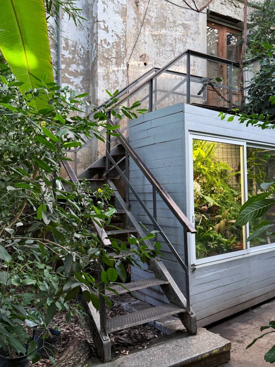 Старая фондовая оранжерея