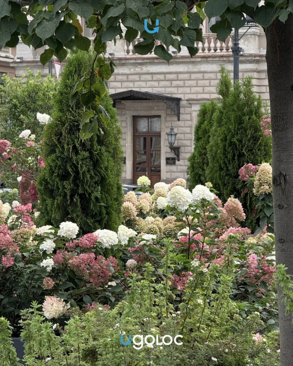 Исаакивская площадь, 6