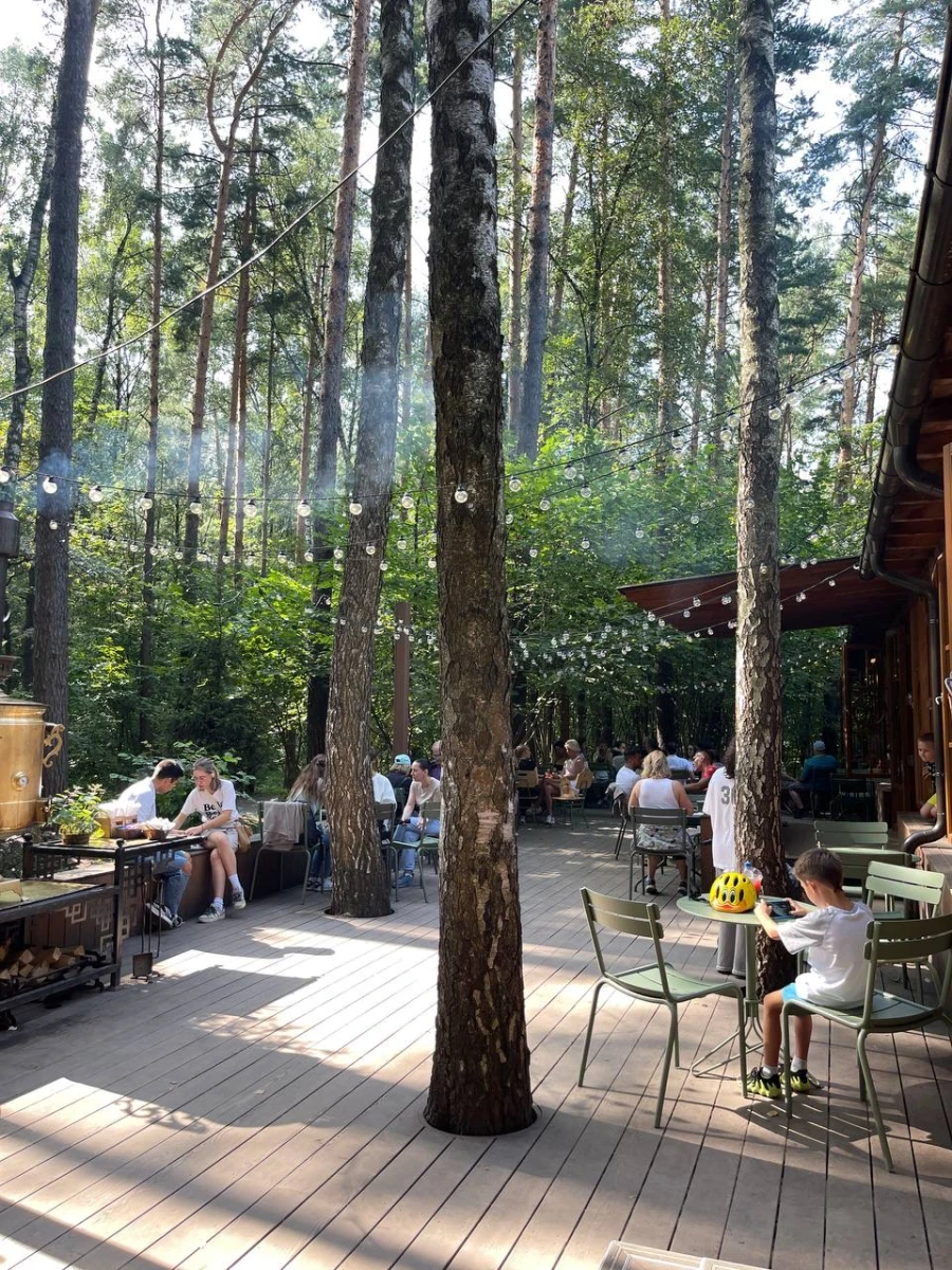 Лесная чайная