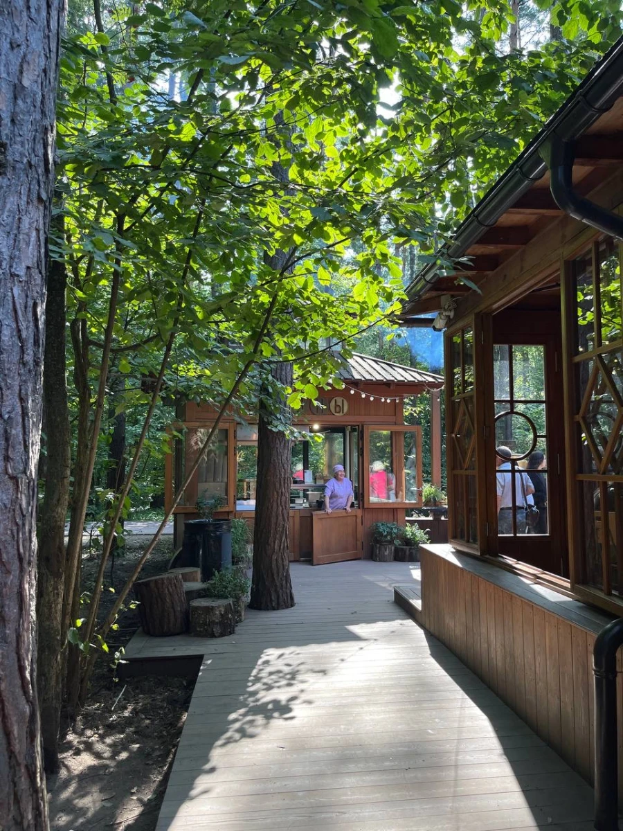 Лесная чайная