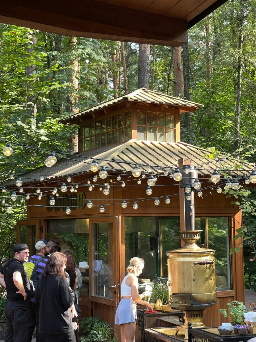 Лесная чайная