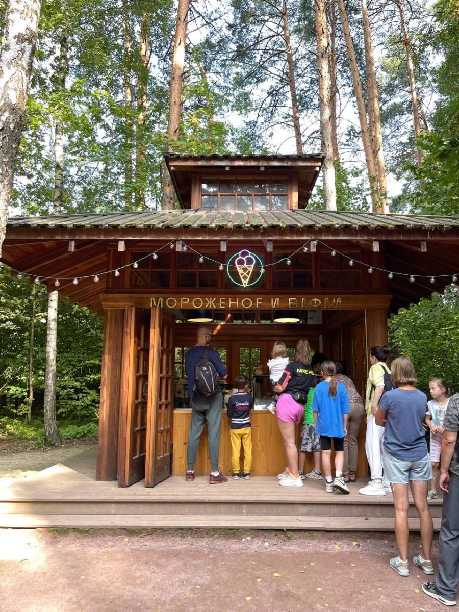 Лесная чайная