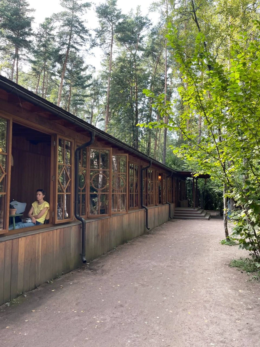 Лесная чайная