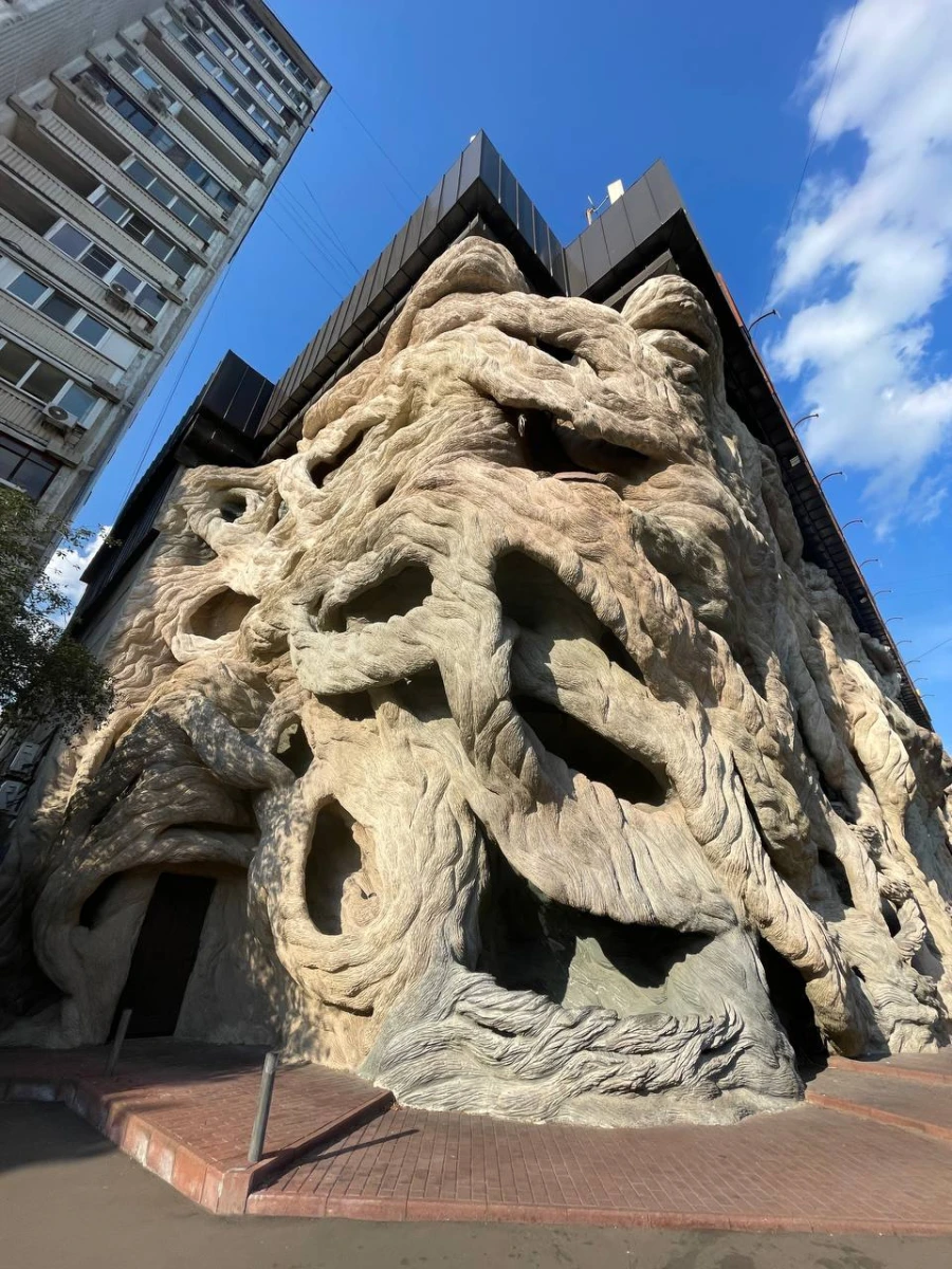 Плетеный дом