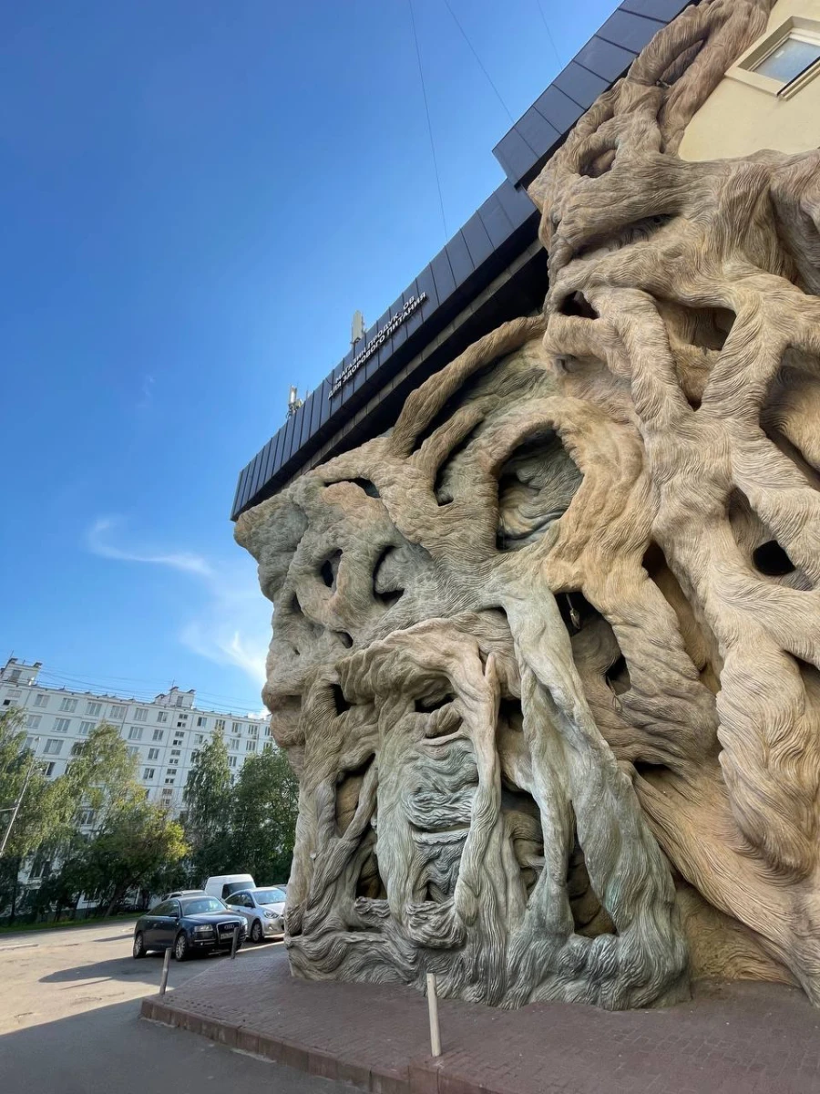 Плетеный дом