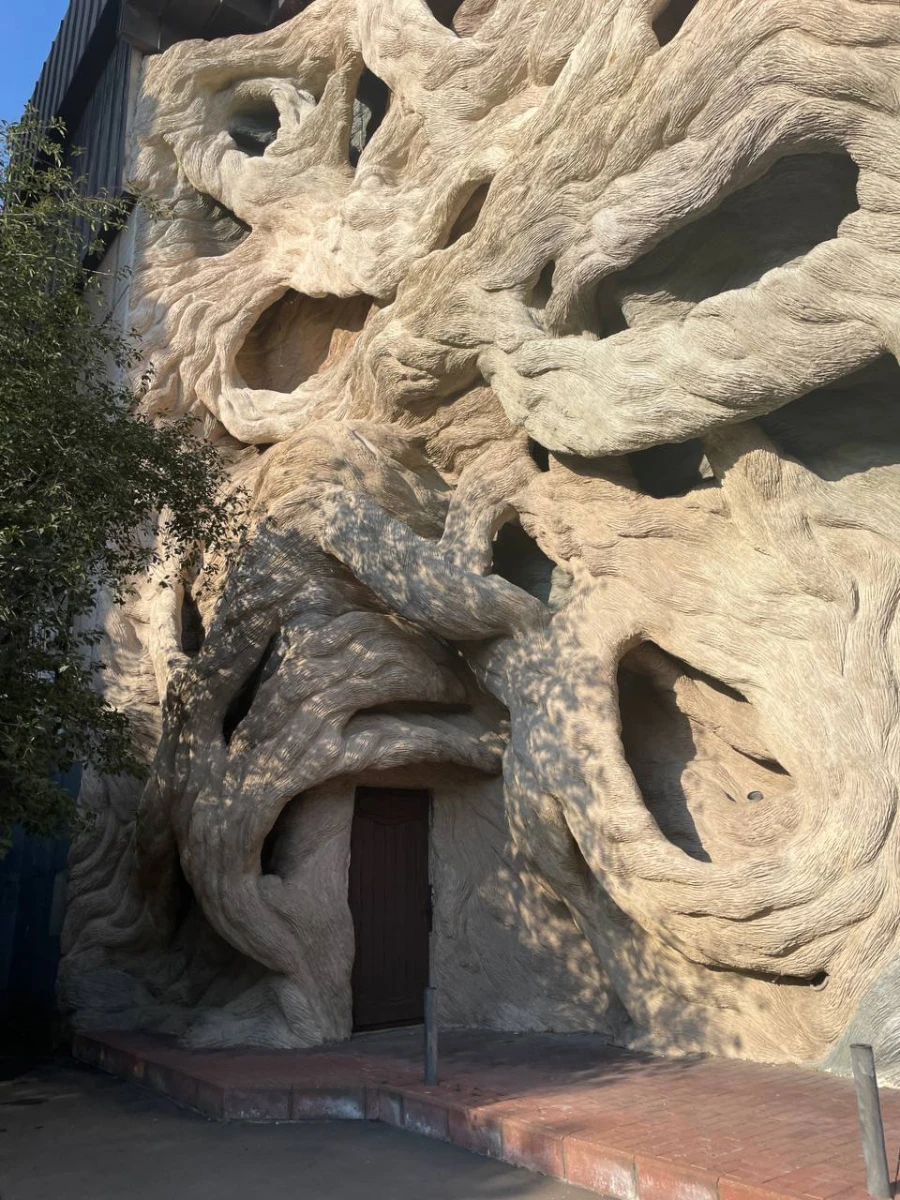 Плетеный дом