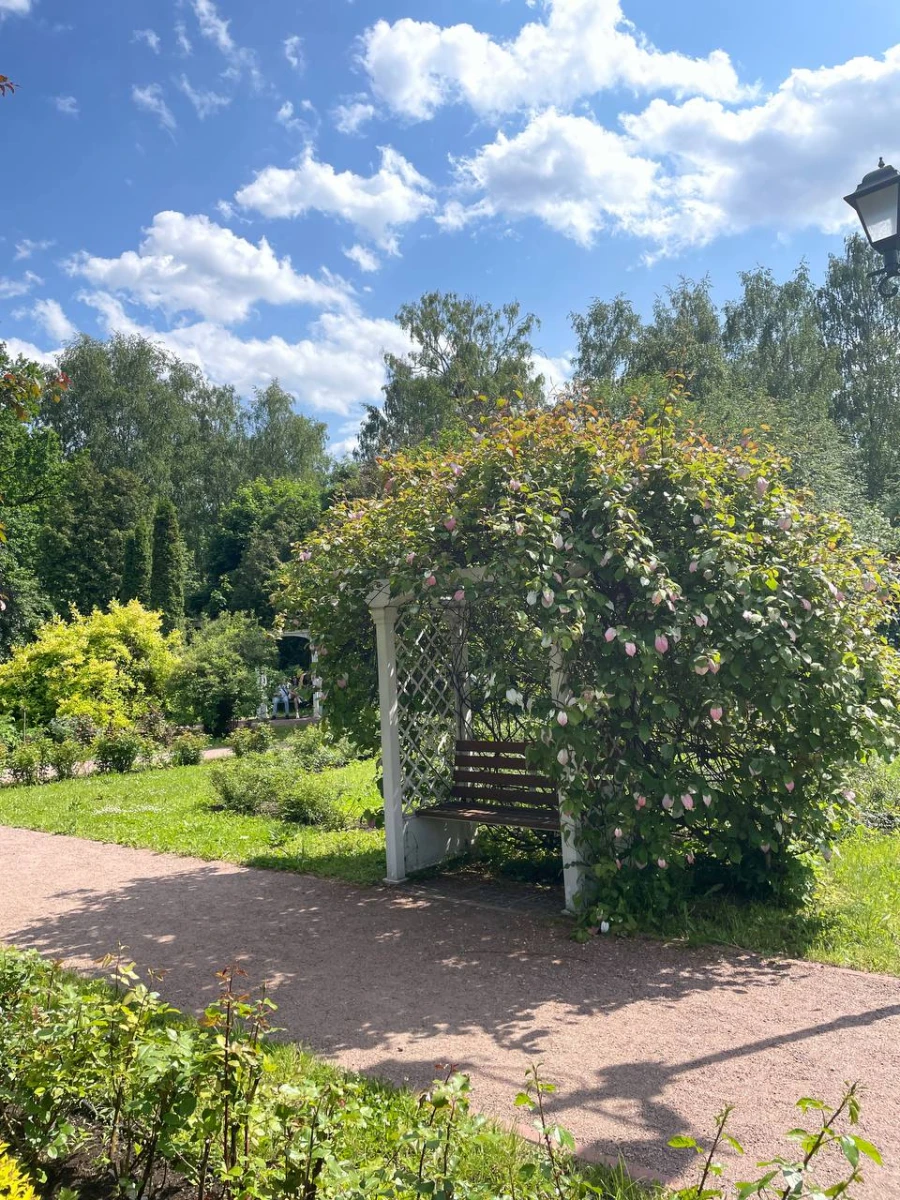 Большой розарий в Сокольниках