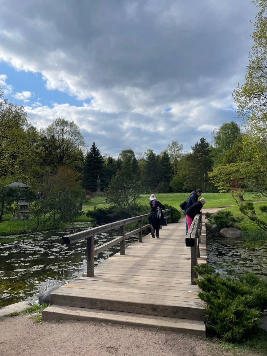 Японский сад