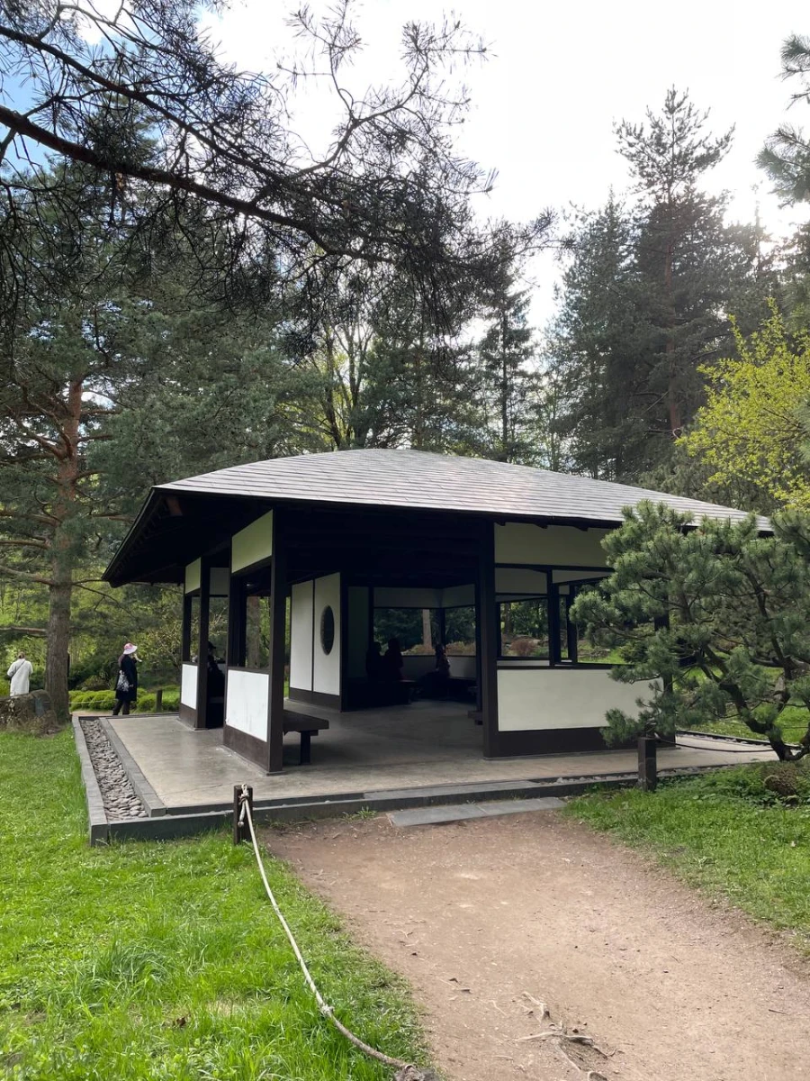 Японский сад